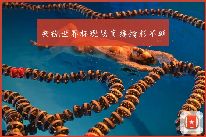 央视世界杯现场直播精彩不断
