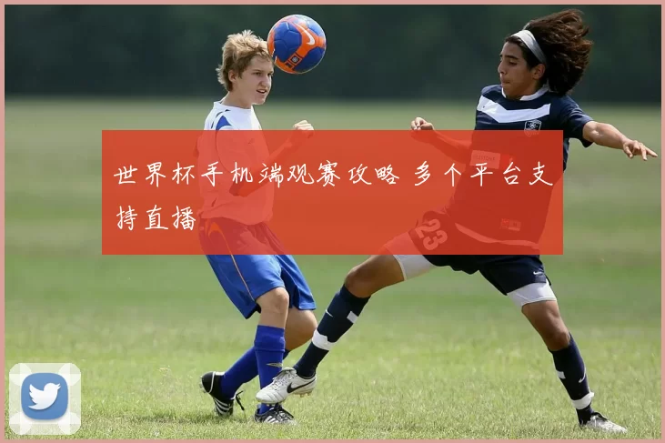 世界杯手机端观赛攻略 多个平台支持直播