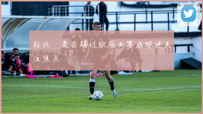 孙兴慜是否踢过欧冠决赛成球迷关注焦点