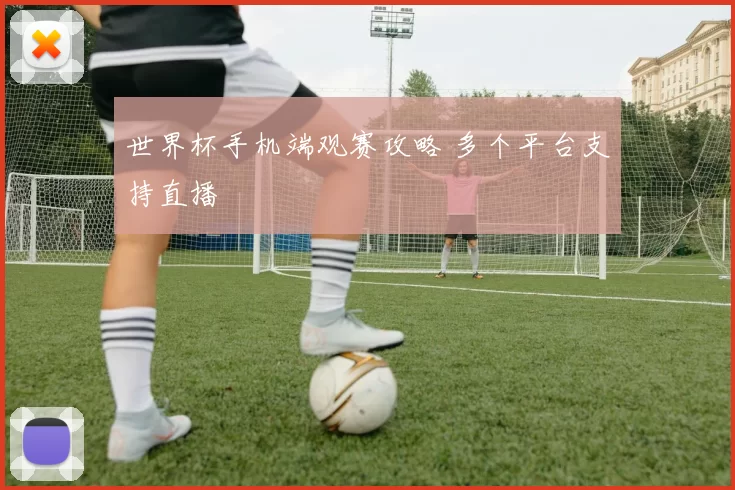 世界杯手机端观赛攻略 多个平台支持直播