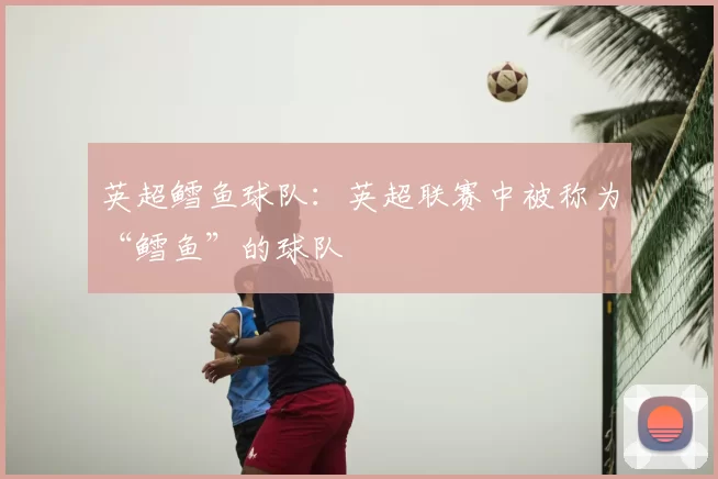 英超鳕鱼球队:英超联赛中被称为“鳕鱼”的球队