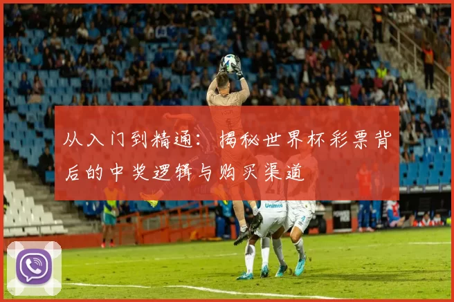从入门到精通:揭秘世界杯彩票背后的中奖逻辑与购买渠道