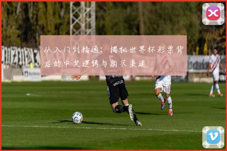 从入门到精通:揭秘世界杯彩票背后的中奖逻辑与购买渠道