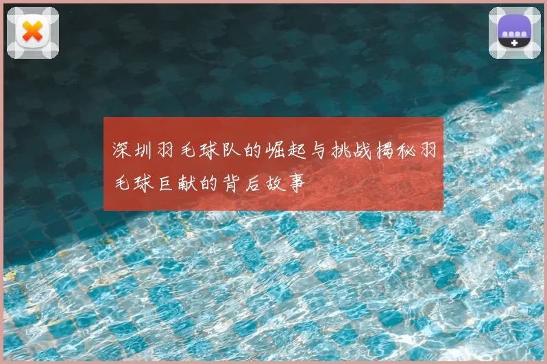 深圳羽毛球队的崛起与挑战揭秘羽毛球巨献的背后故事