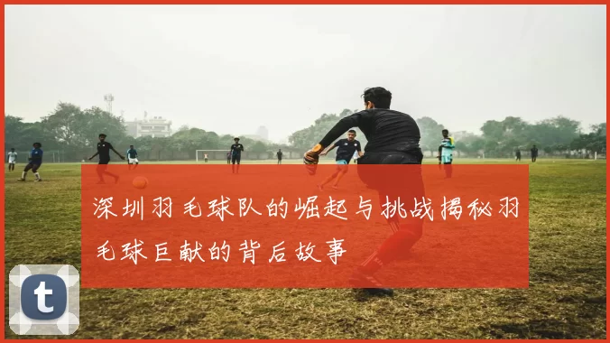 深圳羽毛球队的崛起与挑战揭秘羽毛球巨献的背后故事