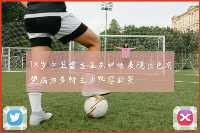 18岁中卫雷吉亚尼训练表现出色有望成为多特主力阵容新星