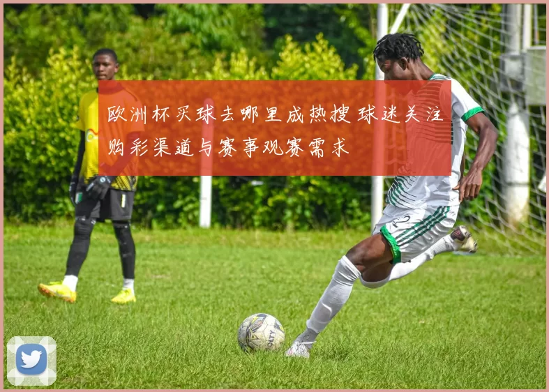 欧洲杯买球去哪里成热搜 球迷关注购彩渠道与赛事观赛需求