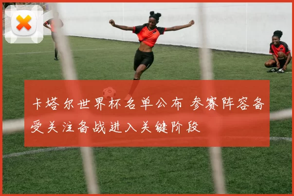 卡塔尔世界杯名单公布 参赛阵容备受关注备战进入关键阶段