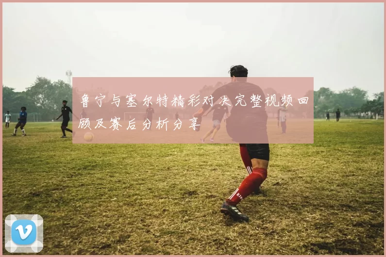 鲁宁与塞尔特精彩对决完整视频回顾及赛后分析分享