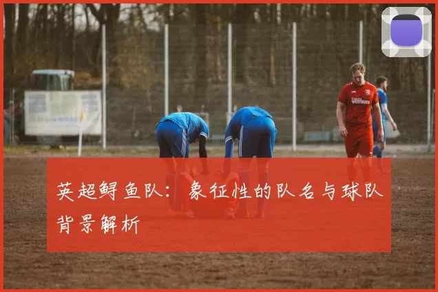 英超鲟鱼队：象征性的队名与球队背景解析