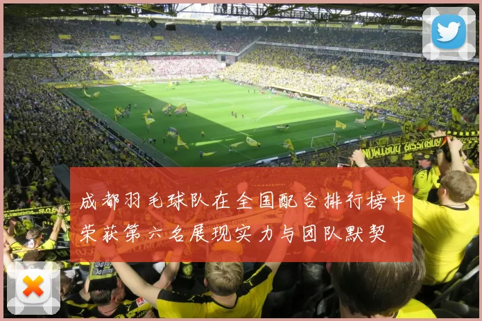 成都羽毛球队在全国配合排行榜中荣获第六名展现实力与团队默契
