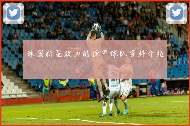 韩国新星效力的德甲球队资料介绍
