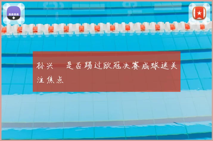 孙兴慜是否踢过欧冠决赛成球迷关注焦点