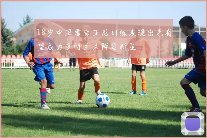 18岁中卫雷吉亚尼训练表现出色有望成为多特主力阵容新星