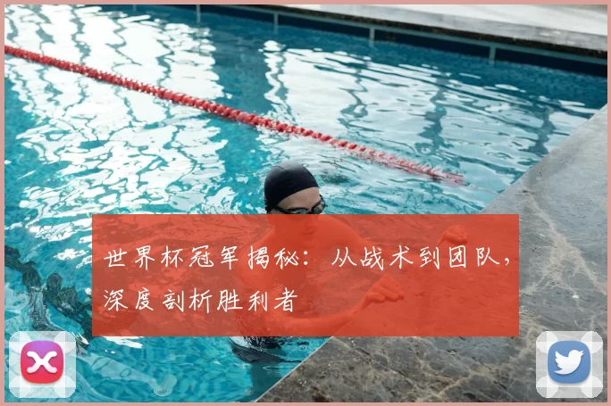 世界杯冠军揭秘:从战术到团队,深度剖析胜利者
