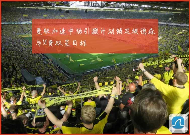 曼联加速中场引援计划锁定埃德森与M费双星目标