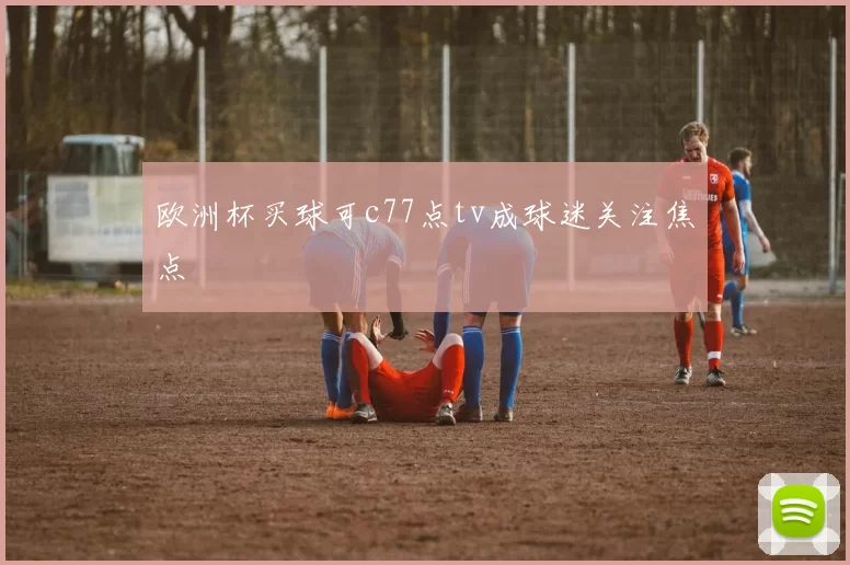 欧洲杯买球可c77点tv成球迷关注焦点